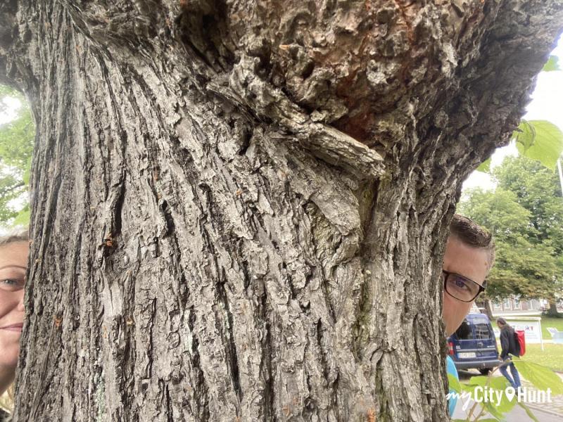 myCityHunt Gymkana 4