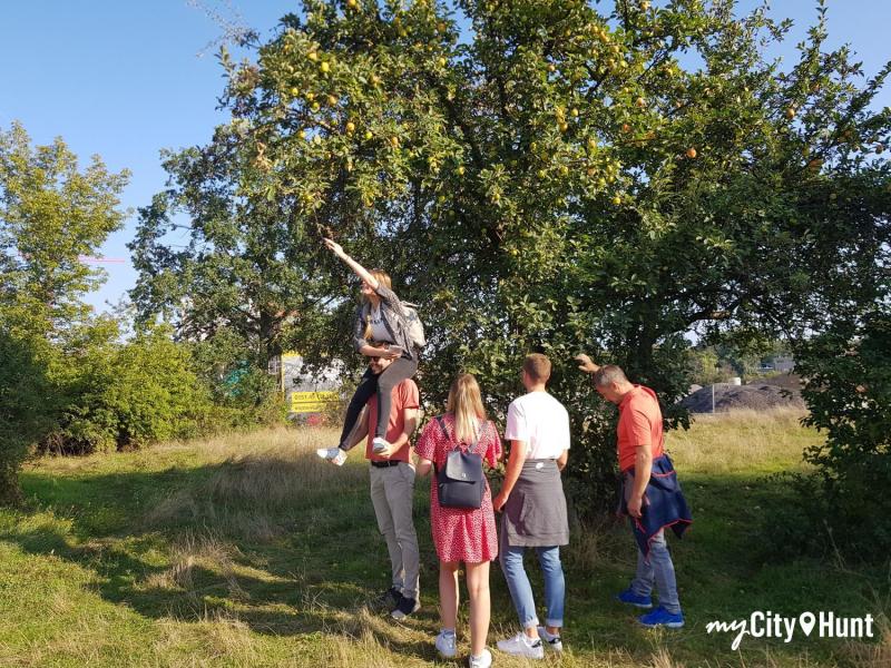 myCityHunt Gymkana 2