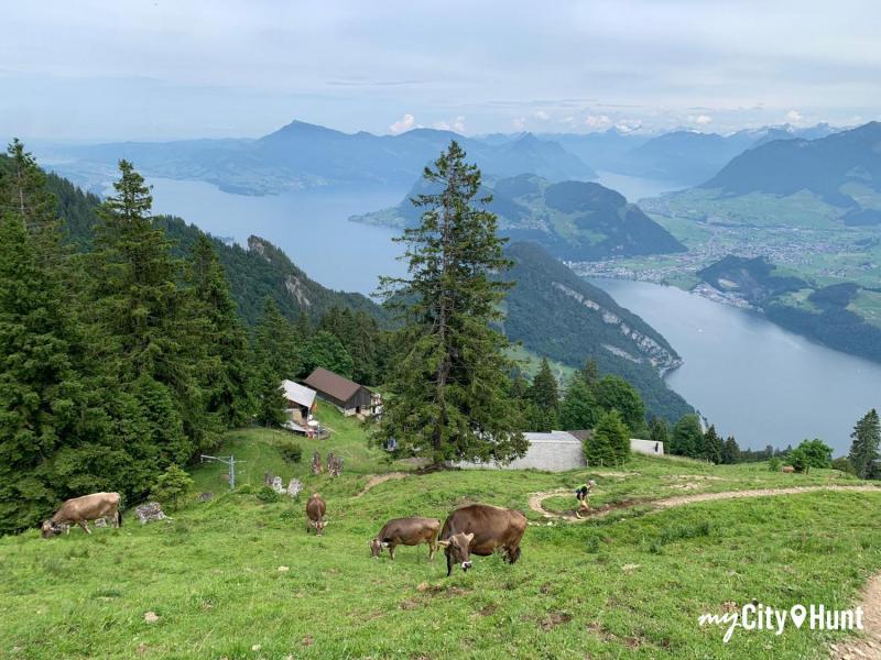 myCityHunt Gymkana 2