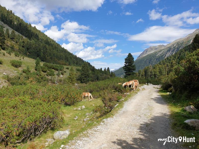 myCityHunt Gymkana 1