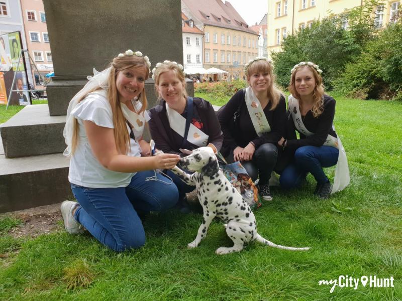 myCityHunt Gymkana 11