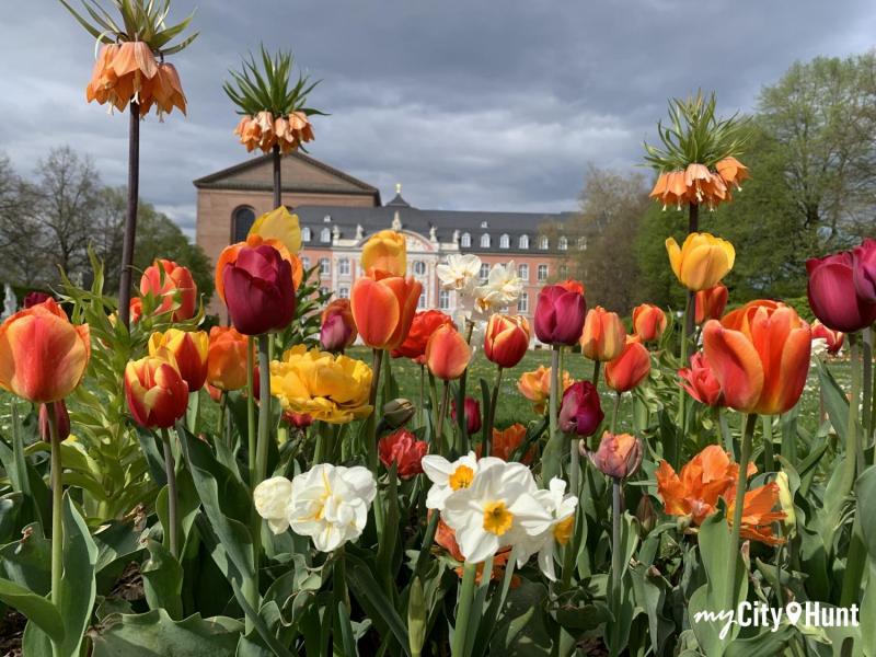 myCityHunt Gymkana 14