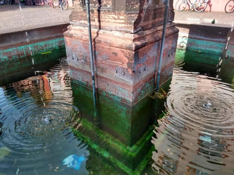 myCityHunt Gymkana 9