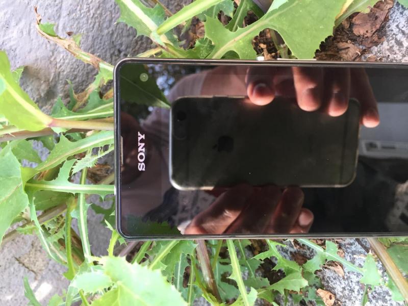 myCityHunt Gymkana 11