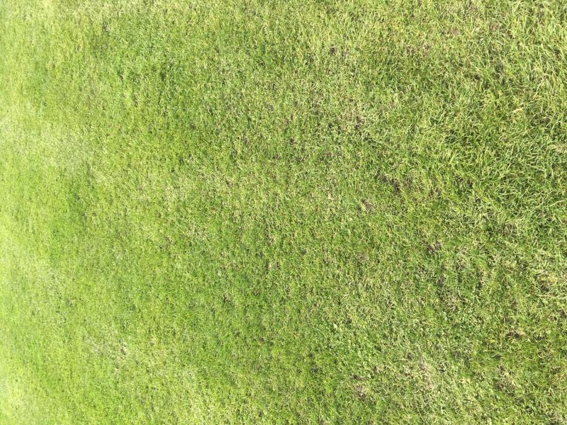 myCityHunt Gymkana 13